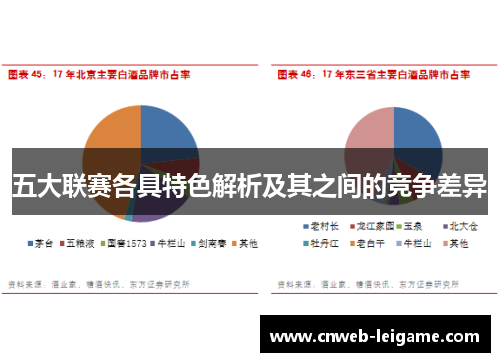 五大联赛各具特色解析及其之间的竞争差异