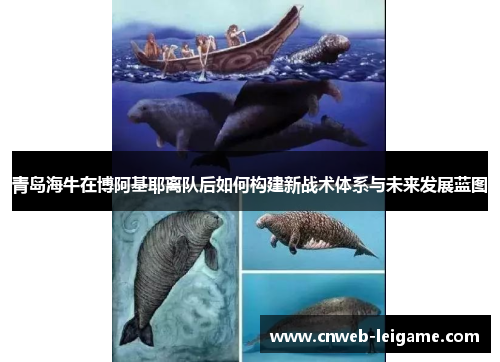 青岛海牛在博阿基耶离队后如何构建新战术体系与未来发展蓝图