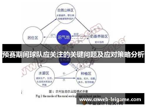 预赛期间球队应关注的关键问题及应对策略分析 预赛期间球队应关注的关键问题及应对策略分析